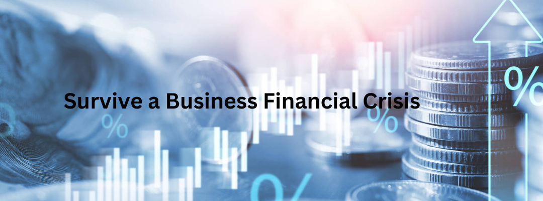 How to Survive a Business Financial Crisis