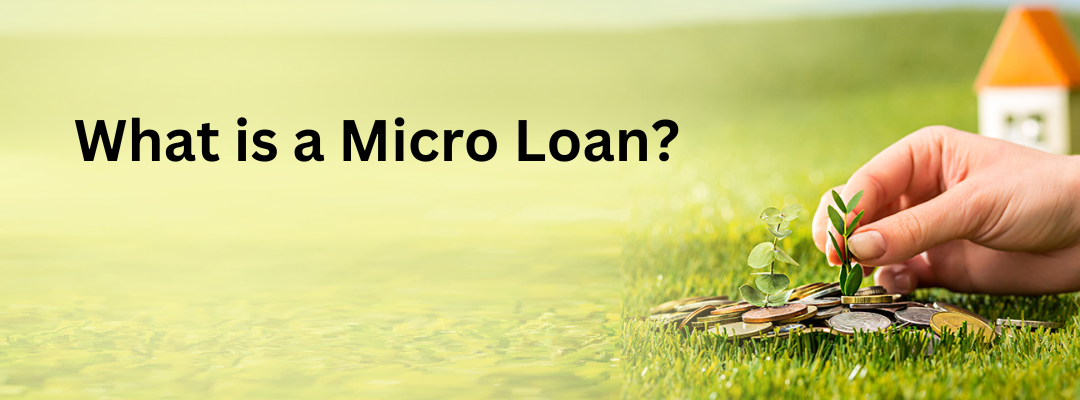 What is a Micro Loan? : Definition, Purpose, and Application